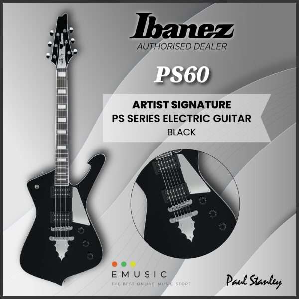 Ibanez Electric Guitars_Artist Signature Series-24