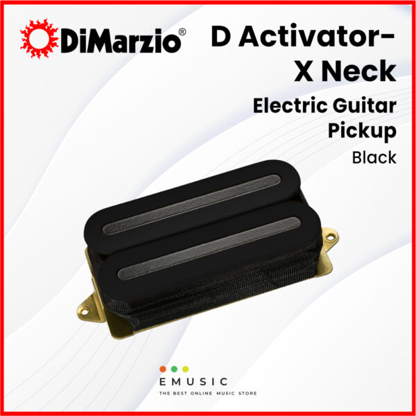 DP221BK