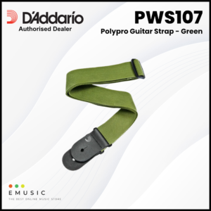 PWS107